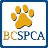 BC SPCA Shuswap