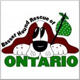 Basset Hound Rescue of Ontario