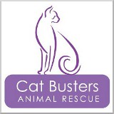 Cat Busters Animal Rescue