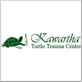 Kawartha Turtle Trauma Centre