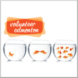 Volunteer Edmonton