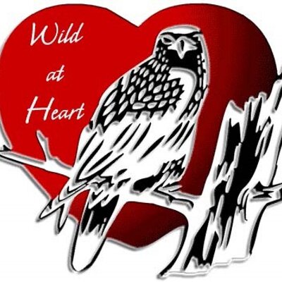 Wild at Heart Refuge Centre