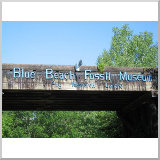 Blue Beach Fossil Museum and Research Center
